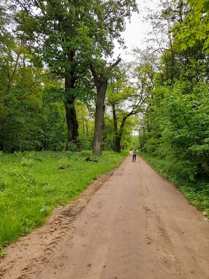 Aleja Dębów Gwiazd